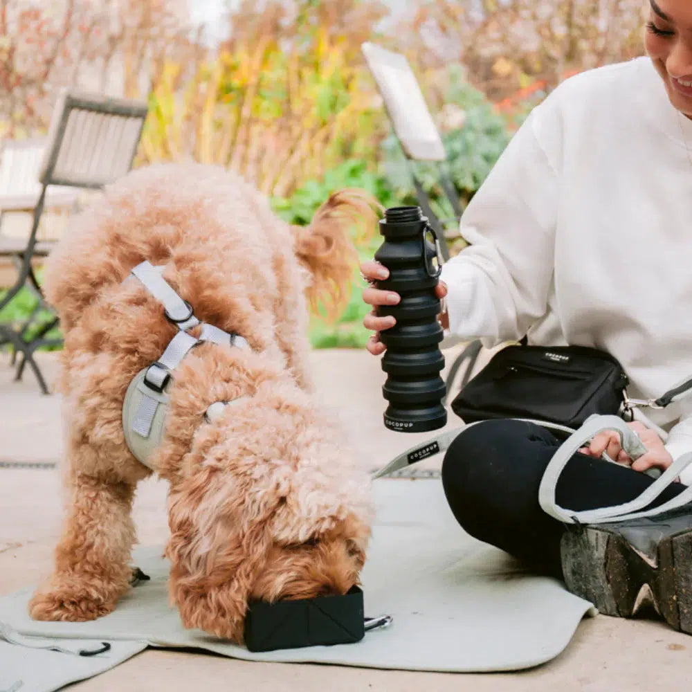 Cocopup marka katlanabilir seyahat kasesi - Siyah