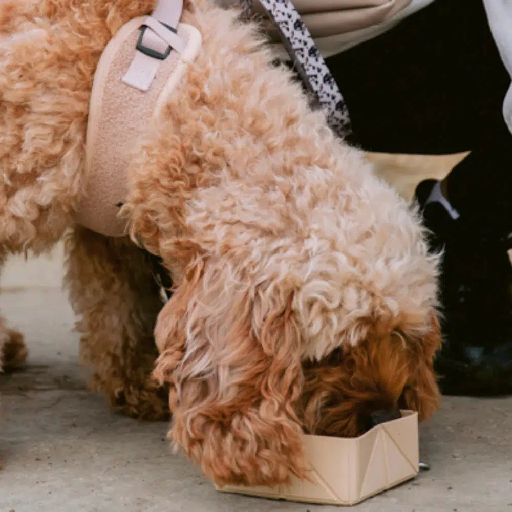 Cocopup Katlanabilir Seyahat Kasesi - Nude