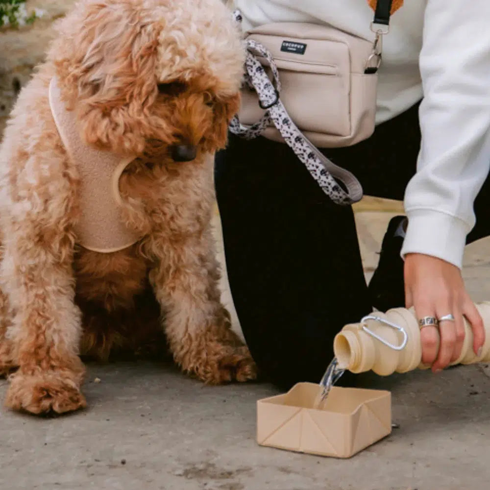 Cocopup Katlanabilir Seyahat Kasesi - Nude