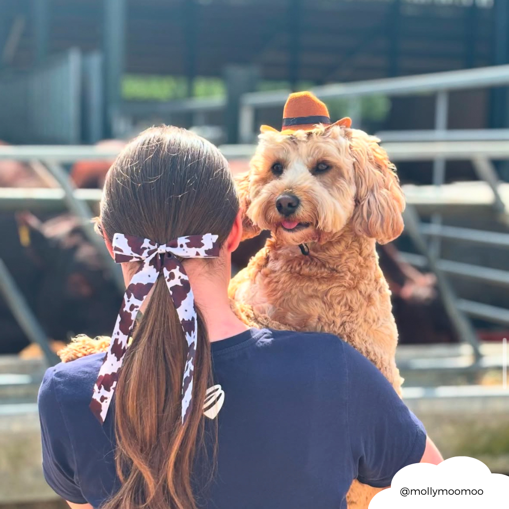 Kurdeleli Fiyonk Toka - Rodeo Kovboy Kızı