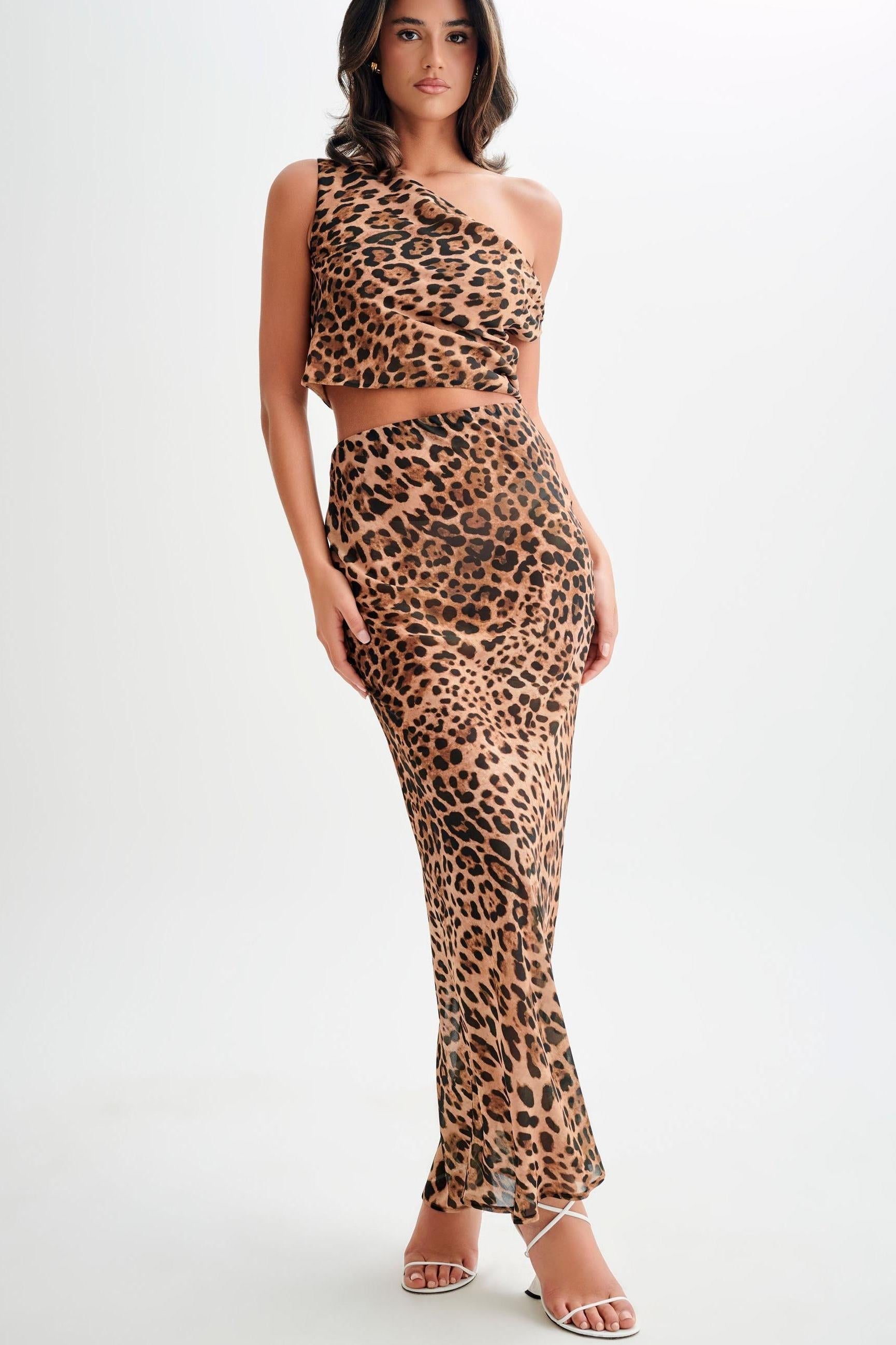 Leopard Print Asymmetrical Shoulder Dress Set