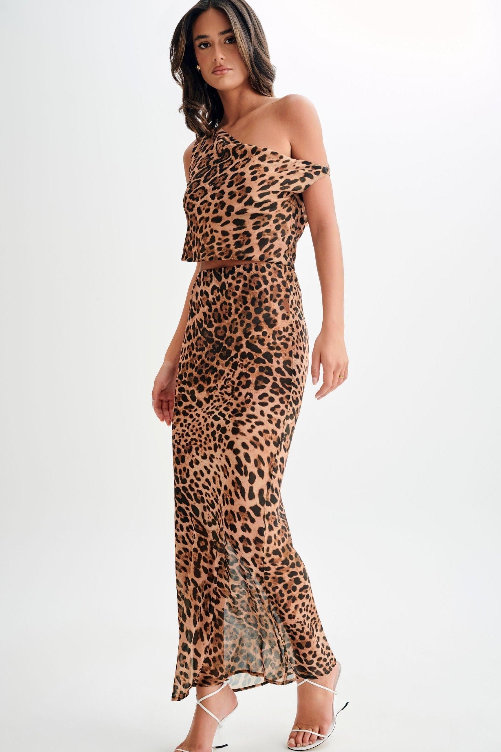 Leopard Print Asymmetrical Shoulder Dress Set