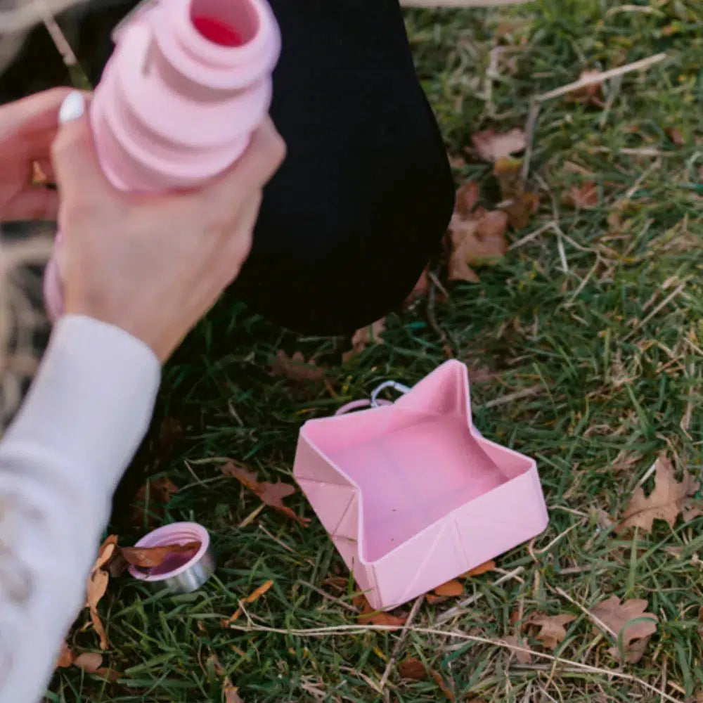 Cocopup marka katlanabilir seyahat kasesi - Pembe