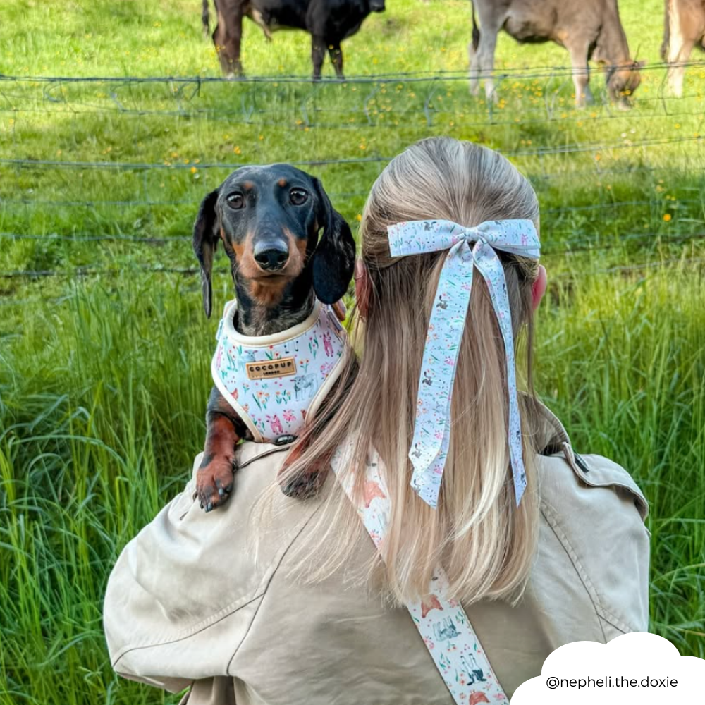 Ribbon Bow Clip - Farmyard Friends