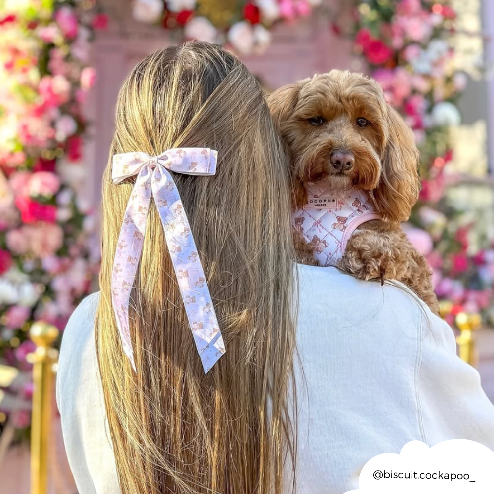 Kurdeleli Fiyonk Toka - Thea Teddy