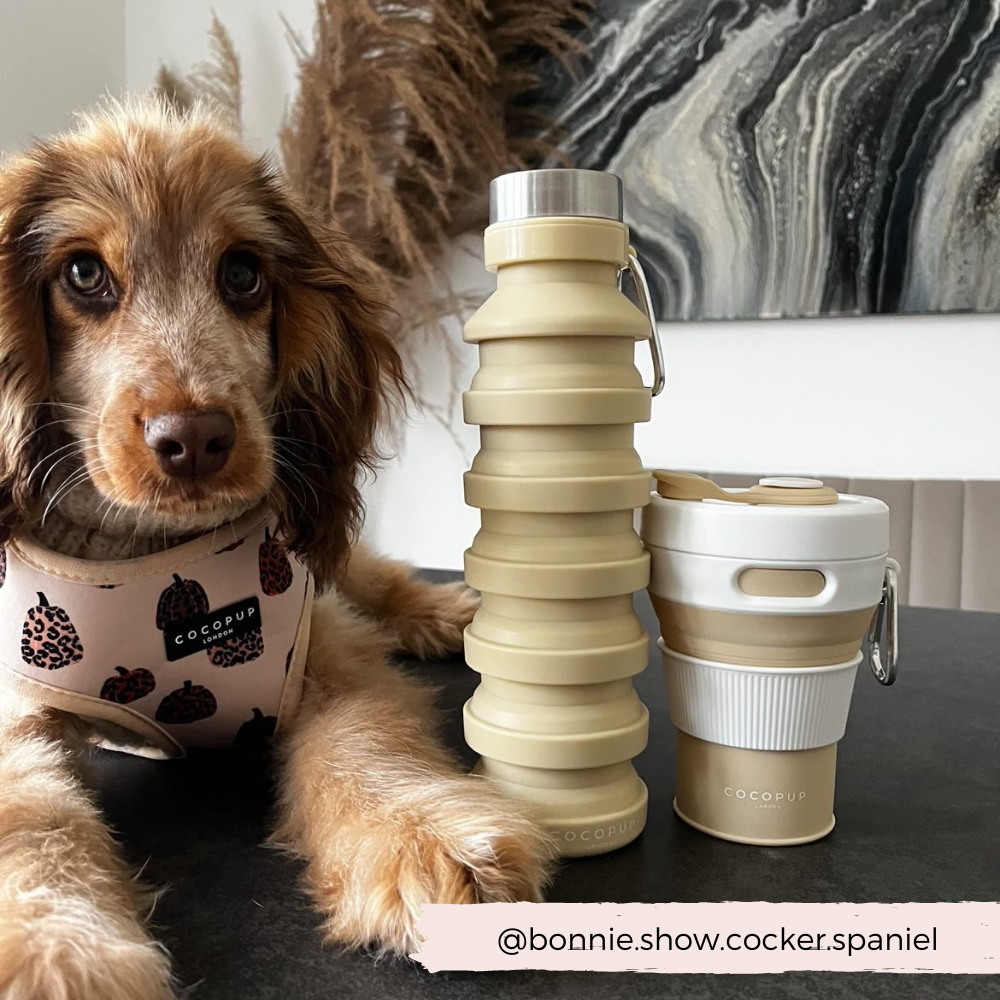 Cocopup Katlanabilir Su Şişesi - Nude 