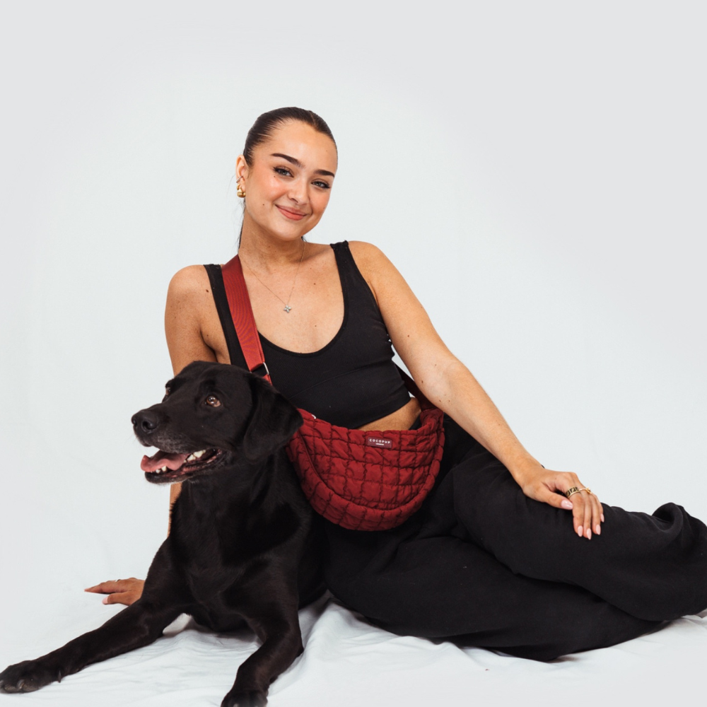 Çapraz Askılı Hilal Şekilli Köpek Gezdirme Çantası Seti - Merlot