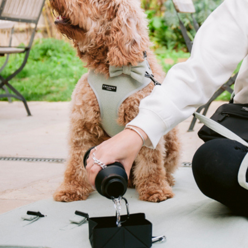 Cocopup Katlanabilir Su Şişesi - Siyah
