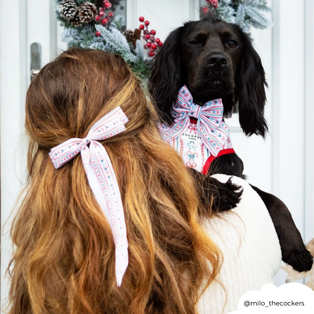 Kurdele Fiyonk Tokası - Bırak Fiyonk Yapsın