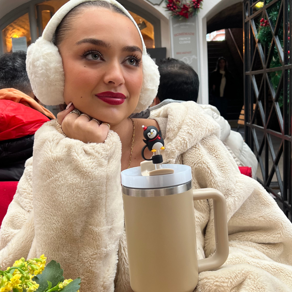 Penguen Desenli Hasır Kılıf