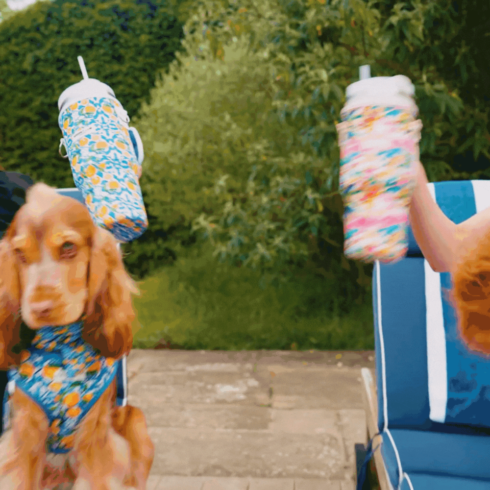 Tumbler Carry Case - Amalfi Lemon