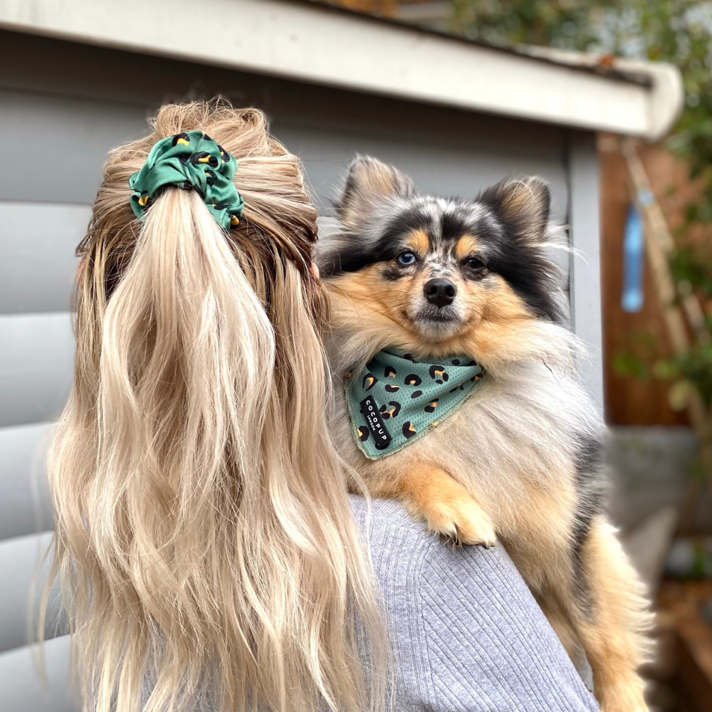 Haki Leopar Desenli Saç Tokası