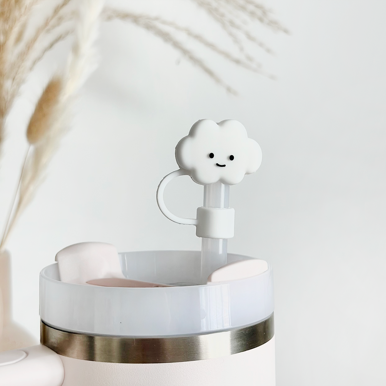 Beyaz Bulut Saman Örtüsü