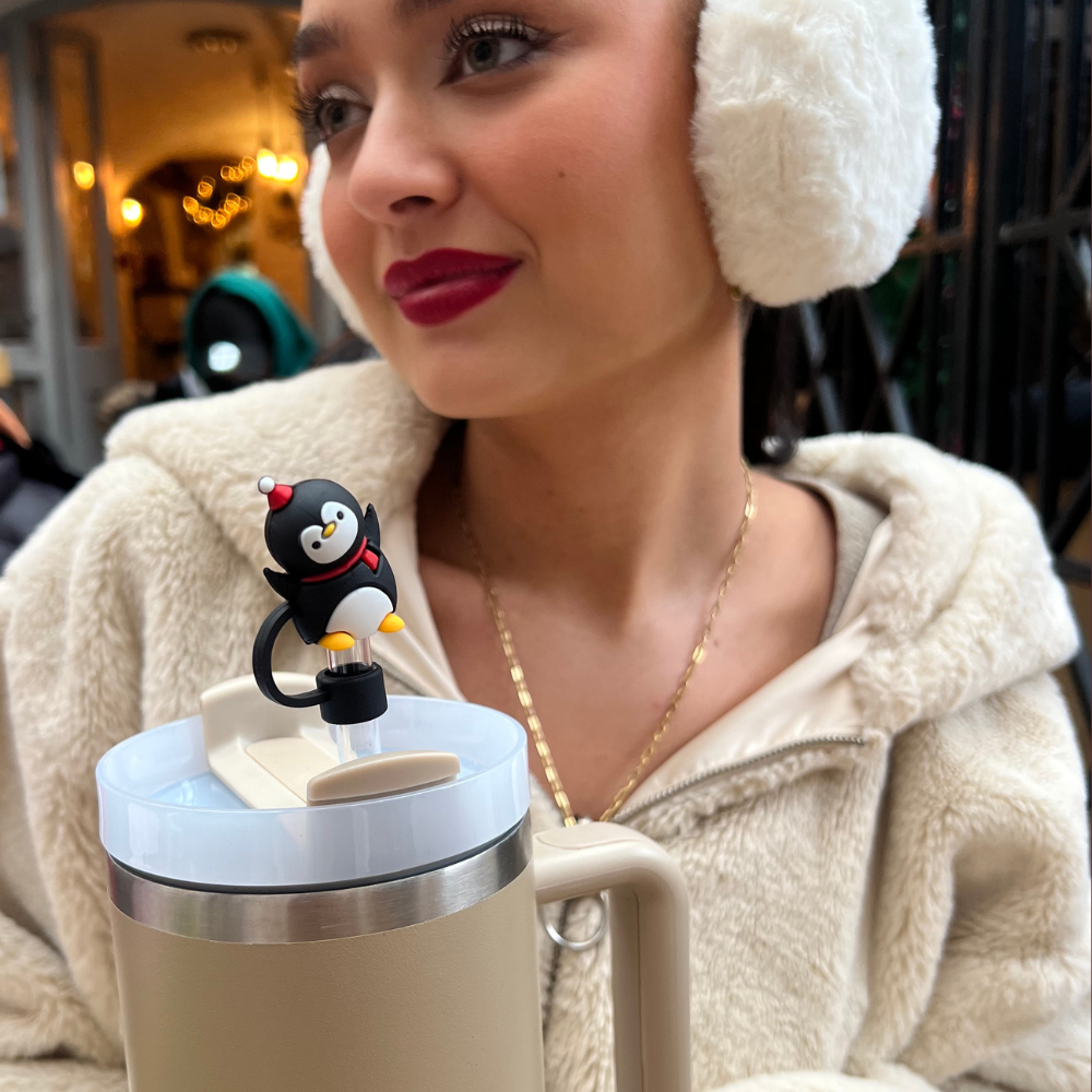 Penguen Desenli Hasır Kılıf